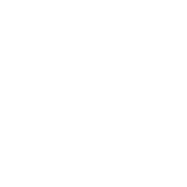 icon-lupa